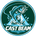 CastBeam logo